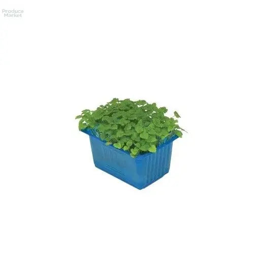 Atsina Micro Cress - x16 Box - Produce Market