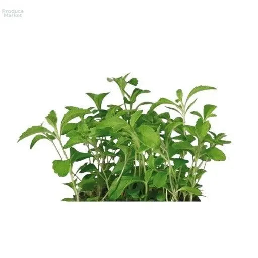 Honny Micro Cress - x16 Box - Produce Market