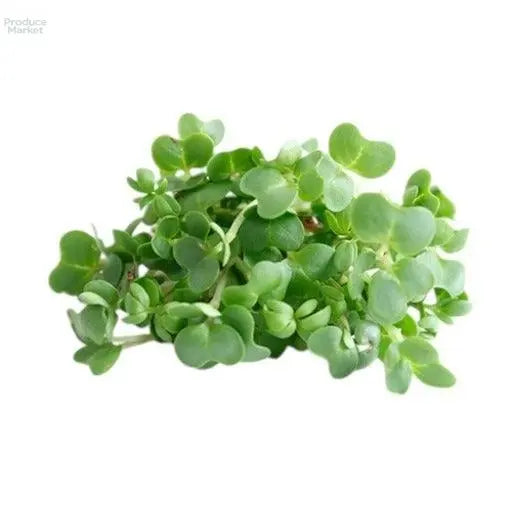 Land Cress - 8x125G - Produce Market