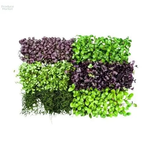 Mixed Micro Cress - x16 Box - Produce Market