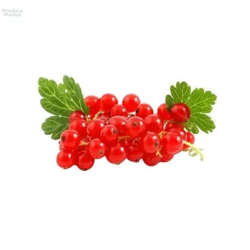 Red Currant - 12x125G Punnets Box - Produce Market