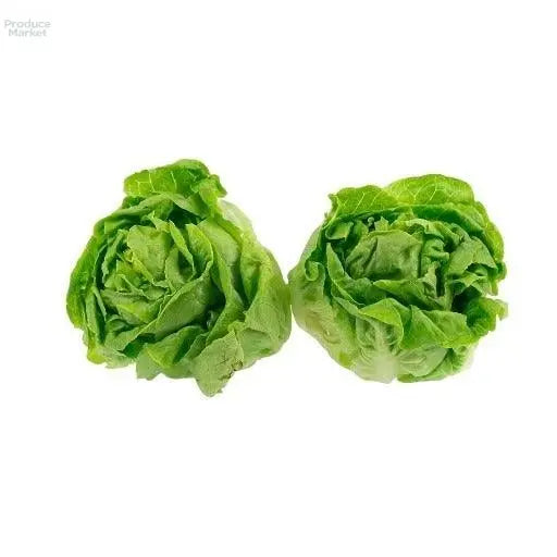 Round Lettuce - x12 Heads - Produce Market