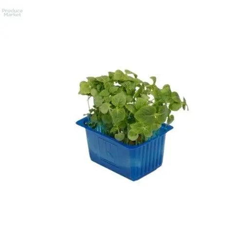 Shisho Micro Cress - x16 Box - Produce Market