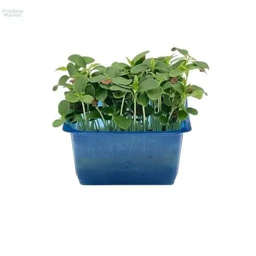 Tahoon Micro Cress - x16 Box - Produce Market