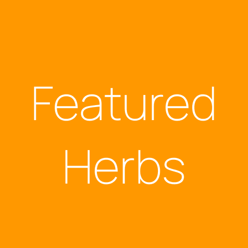 Featured Herbs Produce Market