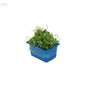 Affilla Micro Cress - x16 Box - Produce Market