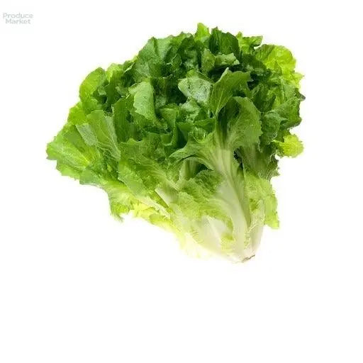 French Escarolle - x6 - Produce Market
