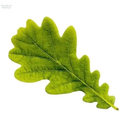 French Oak Leaf - x12 Heads - Produce Market