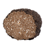 Fresh Black Summer Truffle - Tuber Aestivum Produce Marketplace
