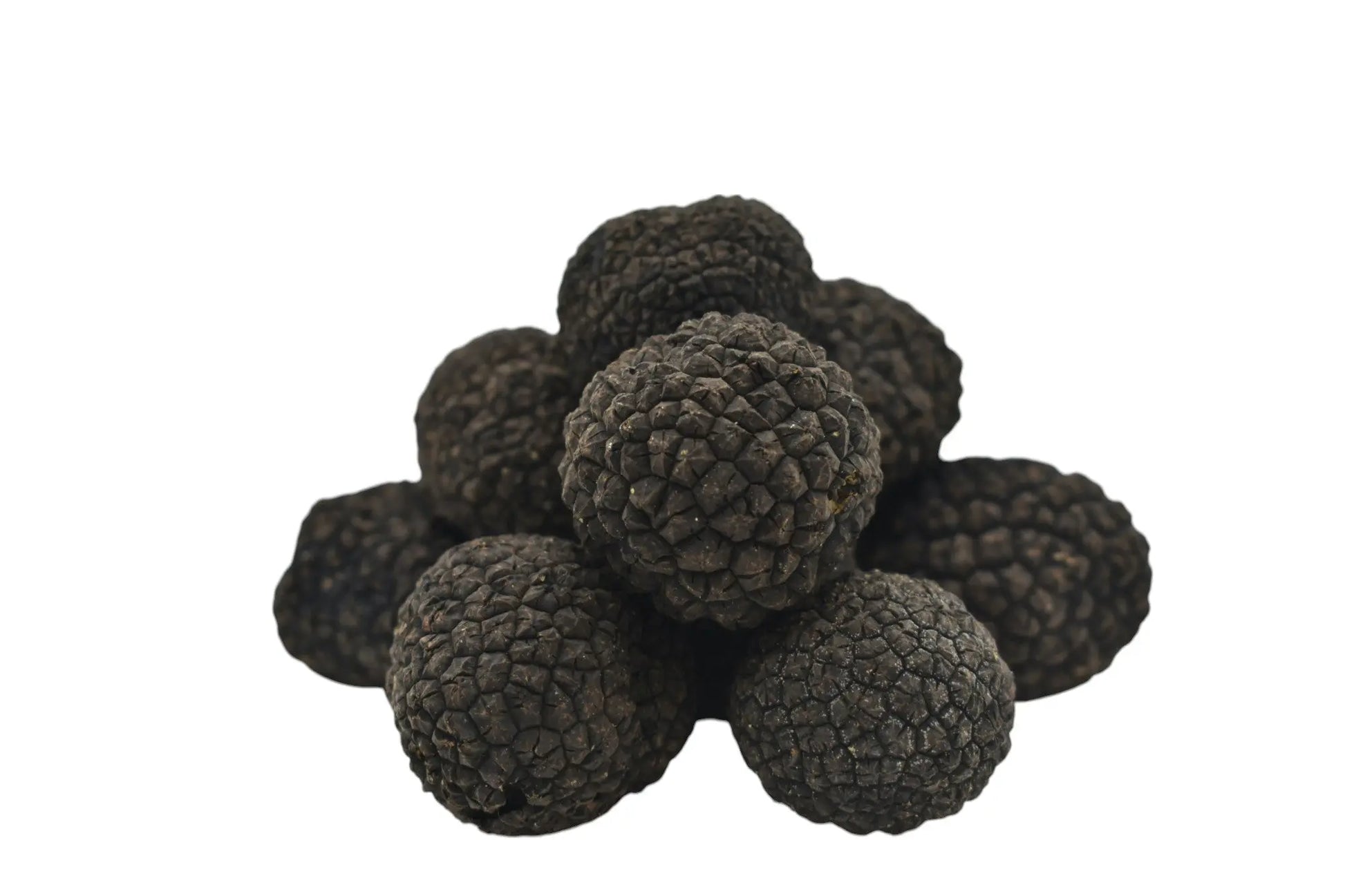 Fresh Black Summer Truffle - Tuber Aestivum Produce Marketplace