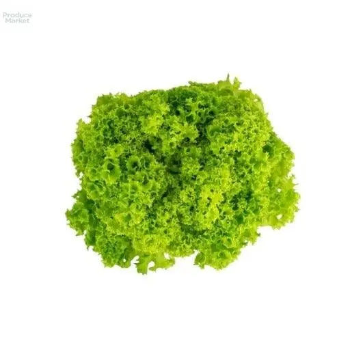Lollo Blonde - x12 Heads - Produce Market