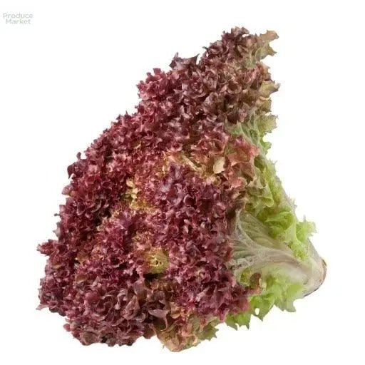 Lollo Rosso - x12 Heads - Produce Market